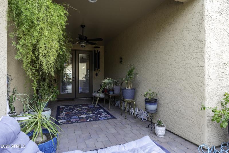 Back Patio