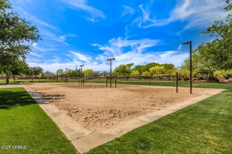VOLLEY BALL
