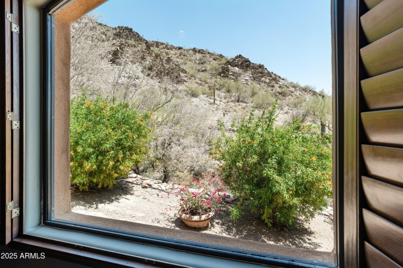 Window views