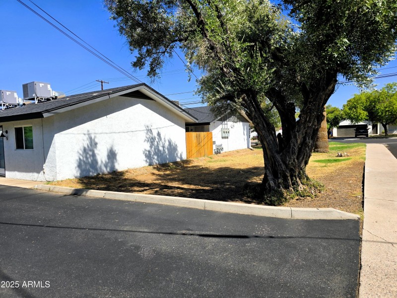 4450 side yard3