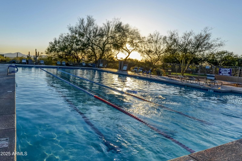 Paradise pool