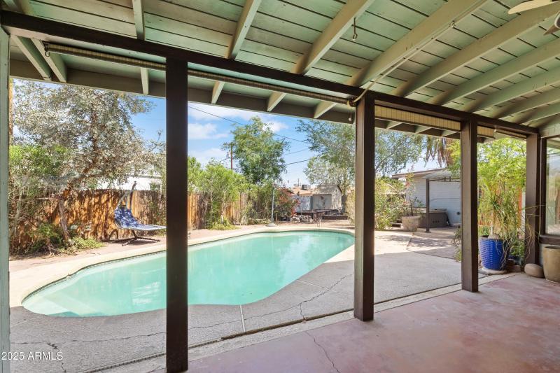 Backyard