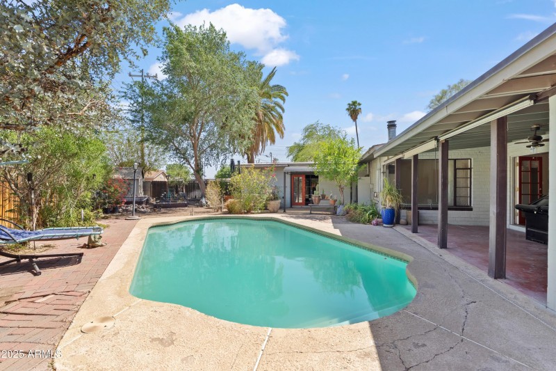 Backyard