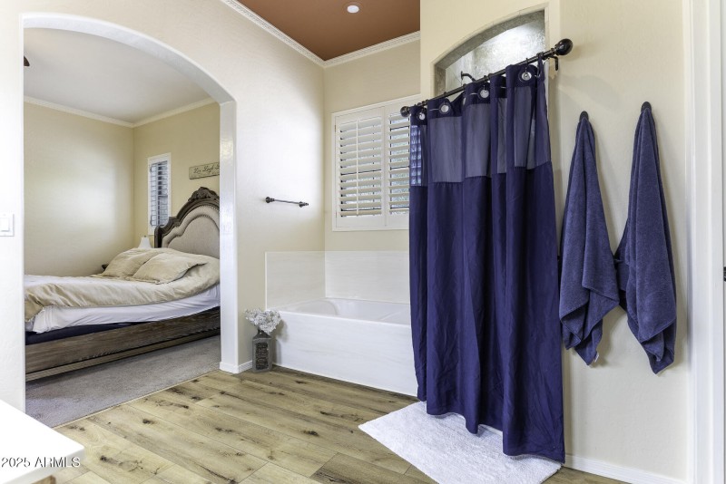 Primary Bath View 1