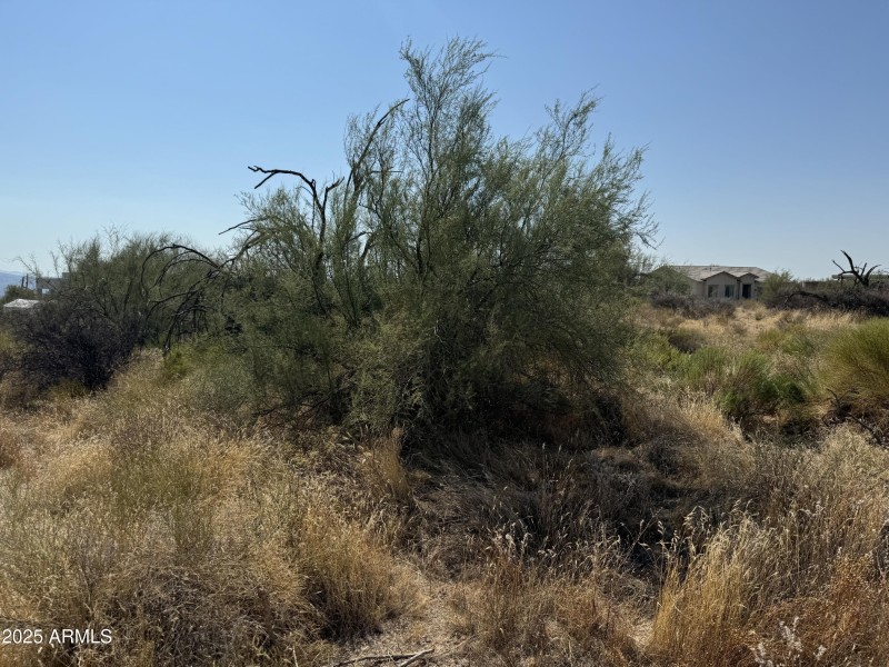 Build Your Dream Home Here