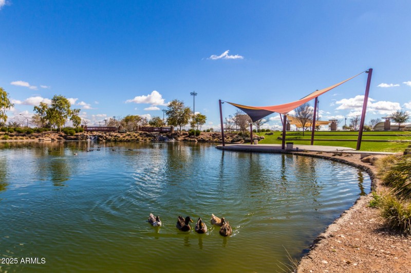 Community Lake