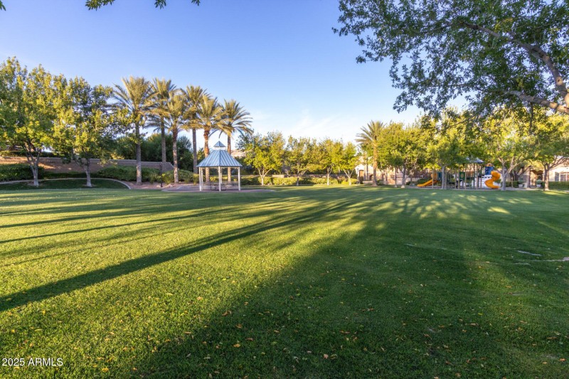 Community Park