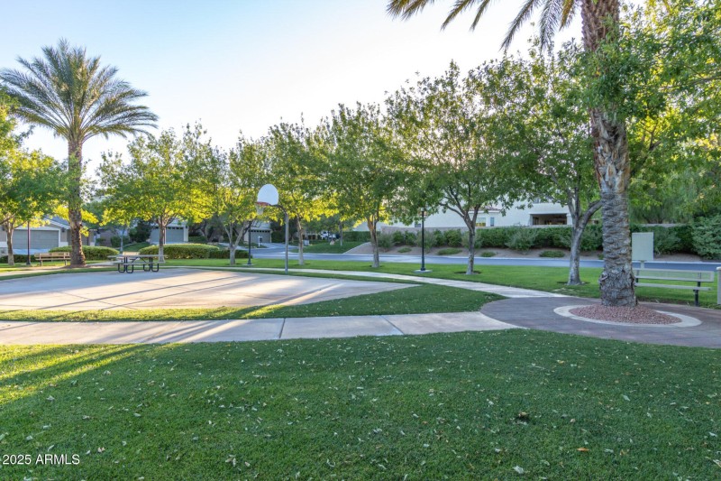 Community Basketball Court