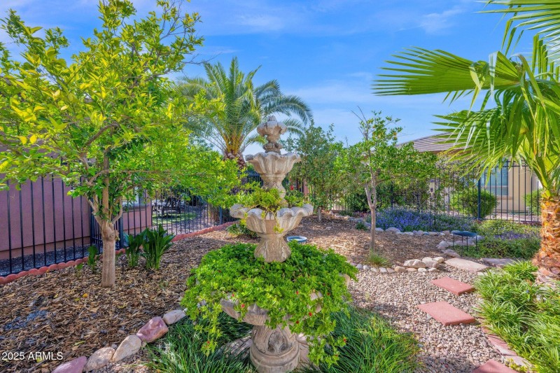 Tranquil Garden