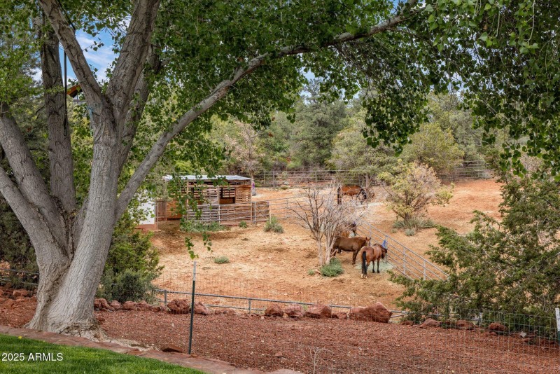 HORSE FACILITY