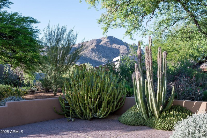 Beautiful Mountain Views