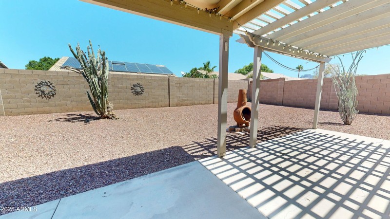 Back yard