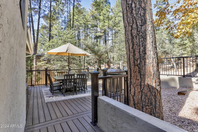 Back Deck