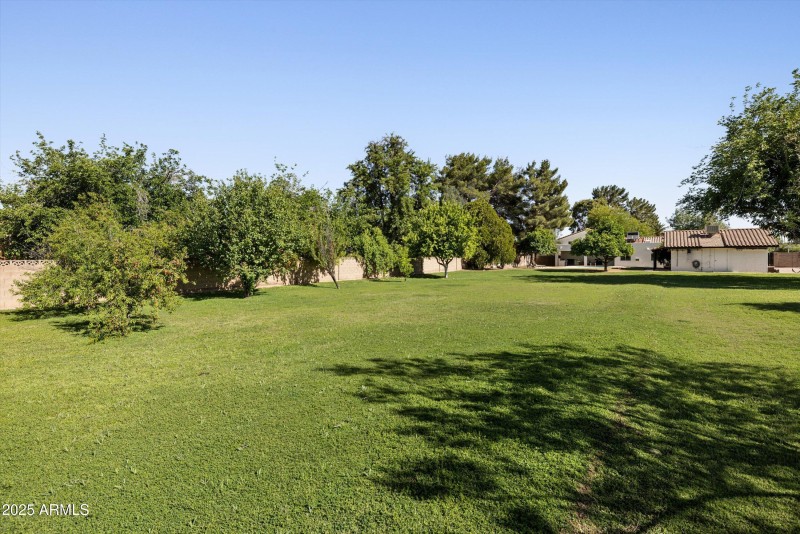 Yard