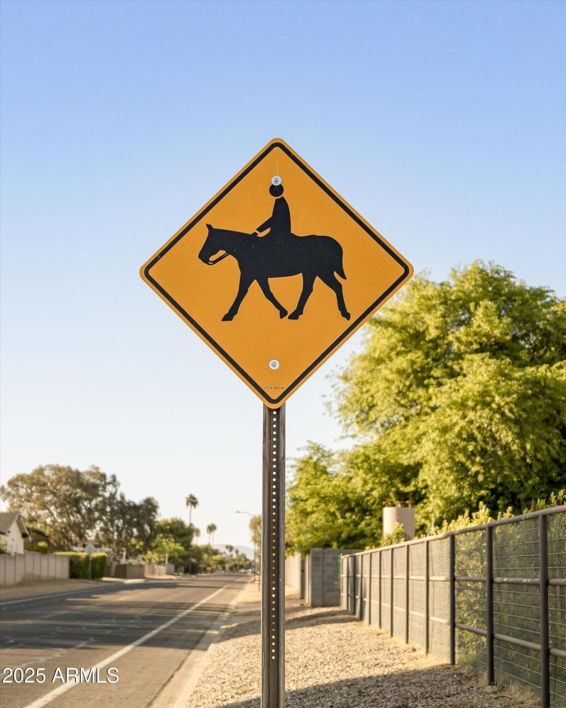 Bridle Trail