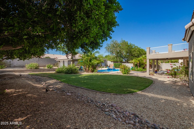 Backyard