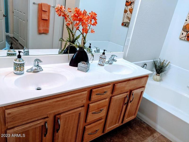 12112 Primary Dual Sinks