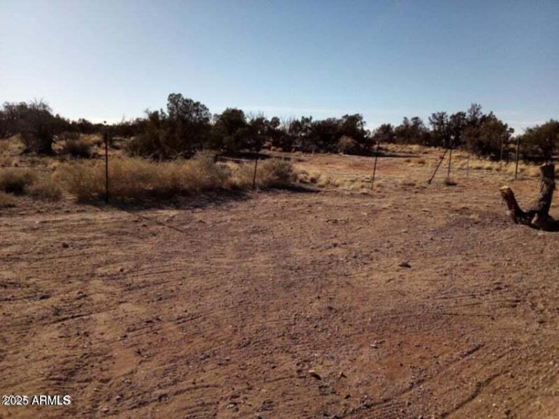 20250224212446484372000000-o