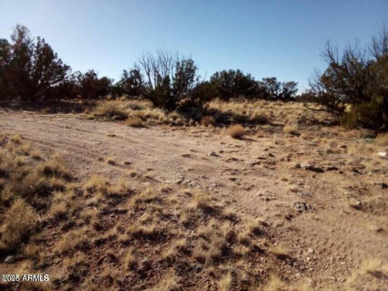 20250224212458321470000000-o