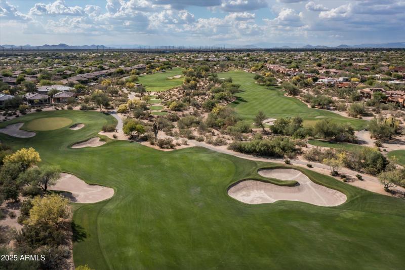 Grayhawk