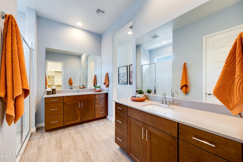 Owner's Bath