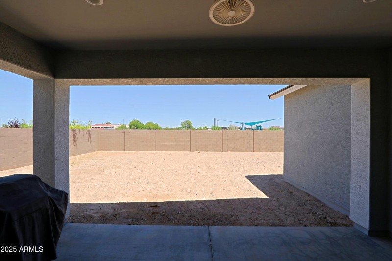 Backyard 1