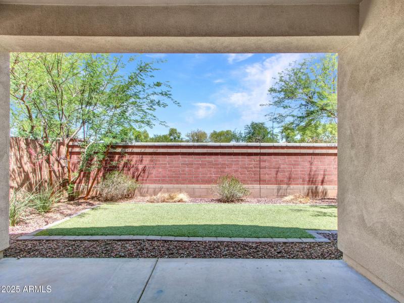 10-Backyard-(1)