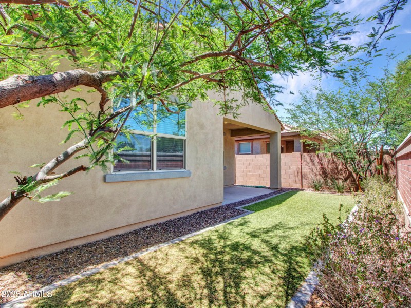 10-Backyard-(4)