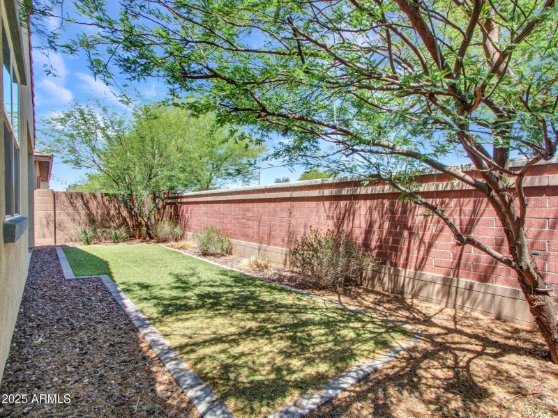 10-Backyard-(6)
