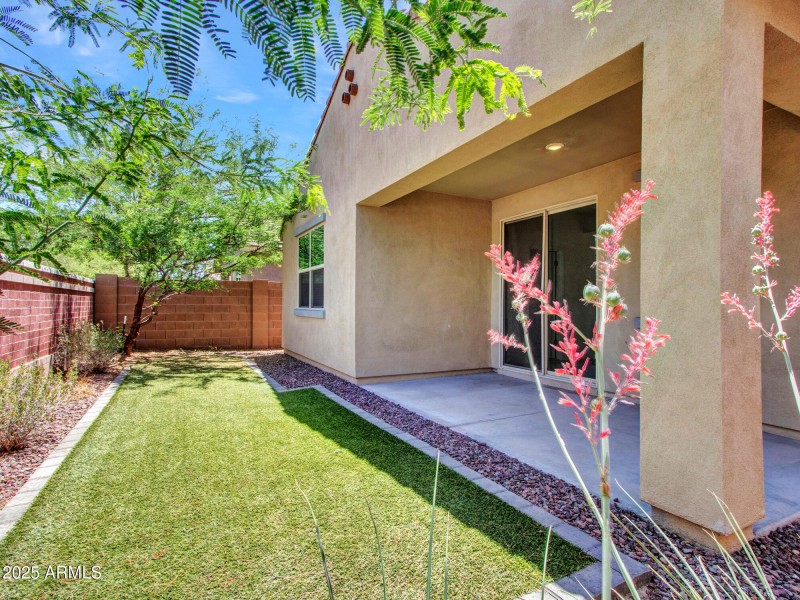 10-Backyard-(7)