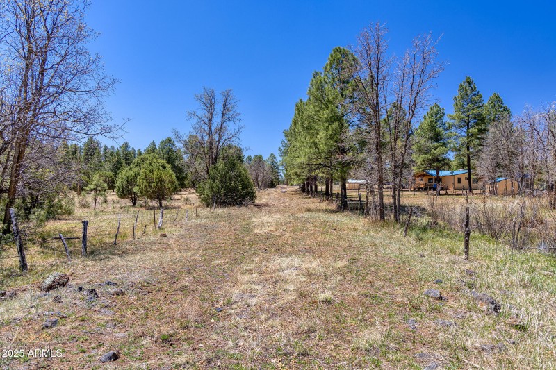 Potential Driveway to Larger Lot - larso