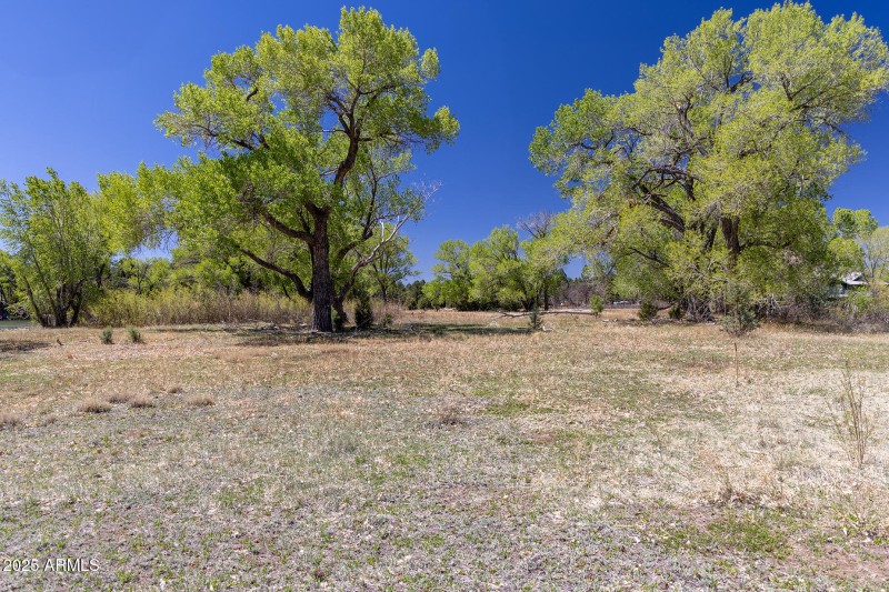 Peninsula Trees - larson rd property rai