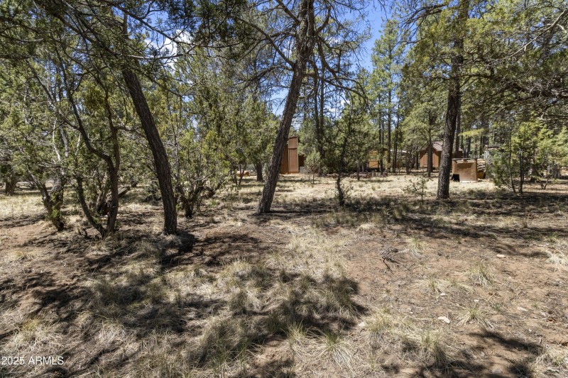 2128 Forest Park Rd, Overgaard (30)