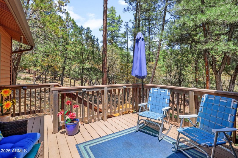 Back Deck