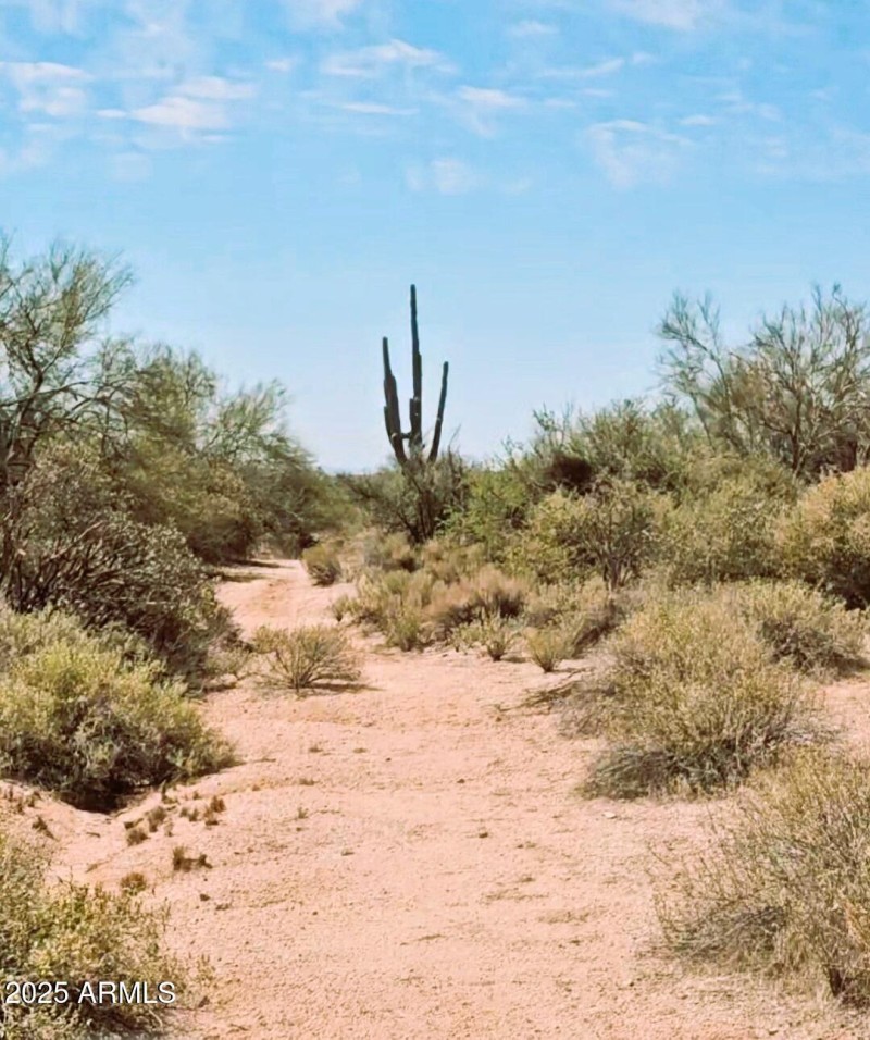 HORSE PATH