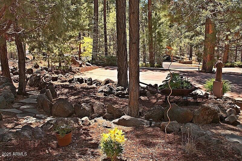 002_Driveway View