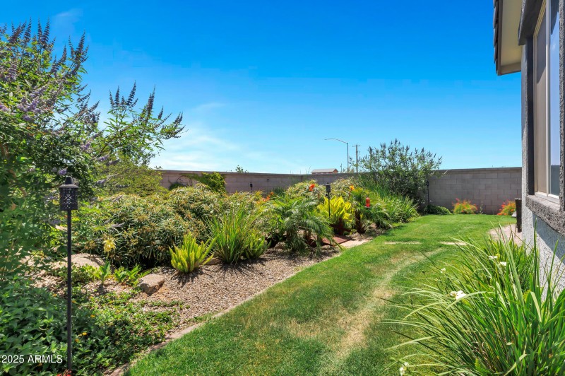 Backyard Oasis