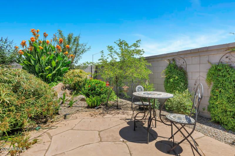 Backyard Oasis