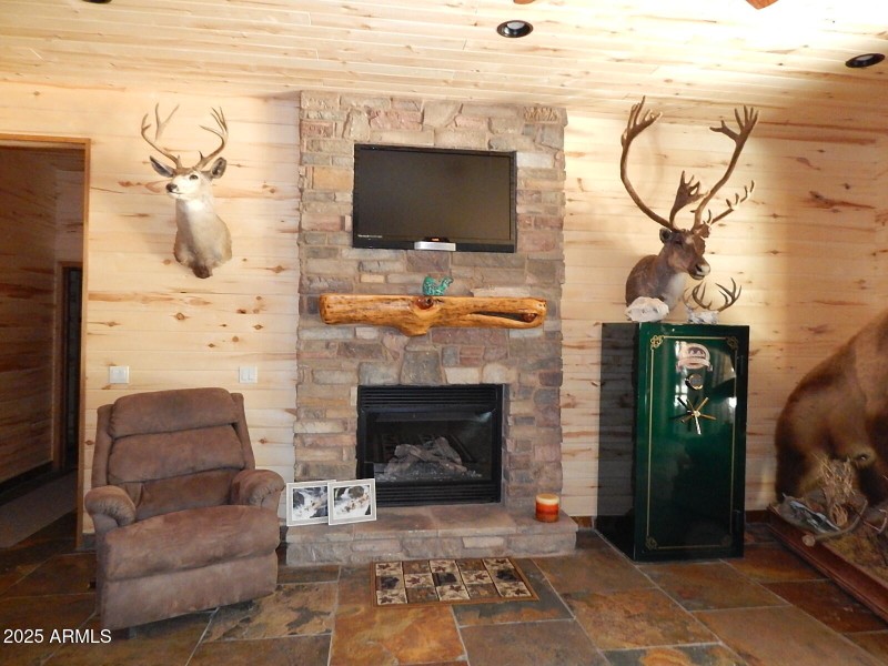 Basement Fireplace