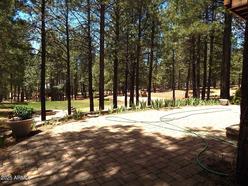 Large Back Area