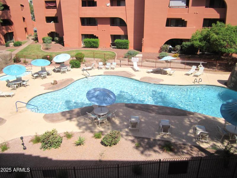 3 325 POOL 2 FROM PATIO