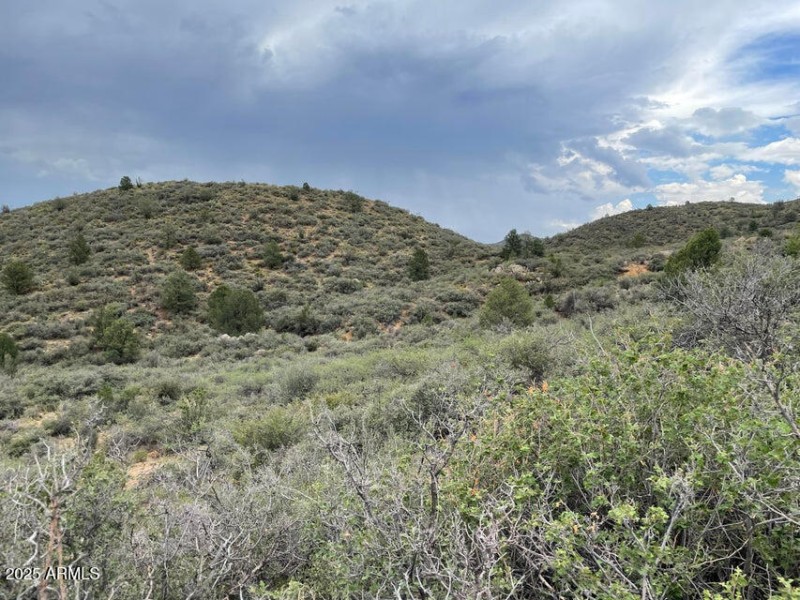 Lot 178B Lush Vegetation