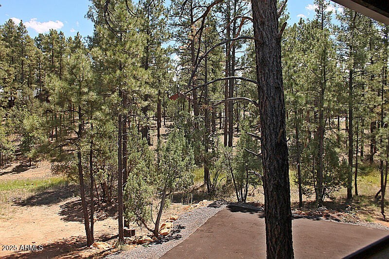View from Deck