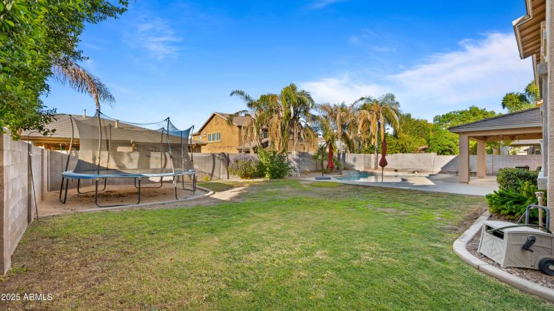 Backyard6