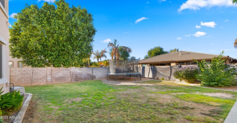 Backyard5