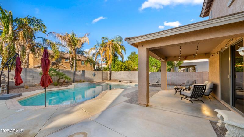 Backyard4
