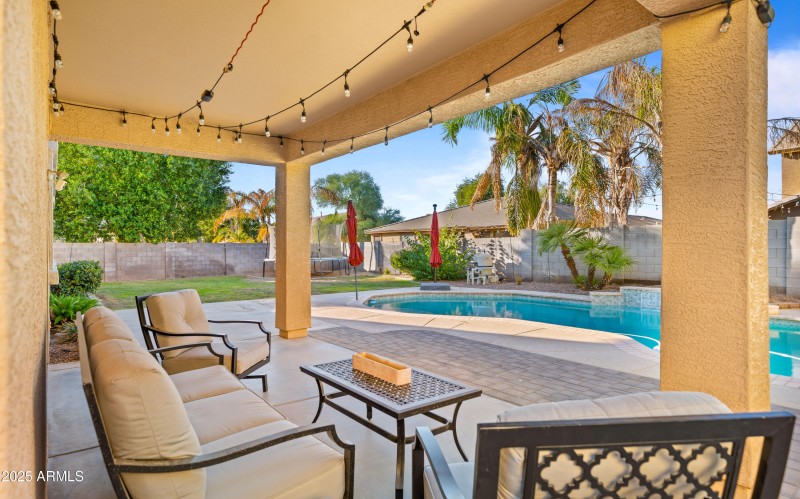 Backyard3