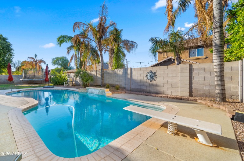 Backyard1