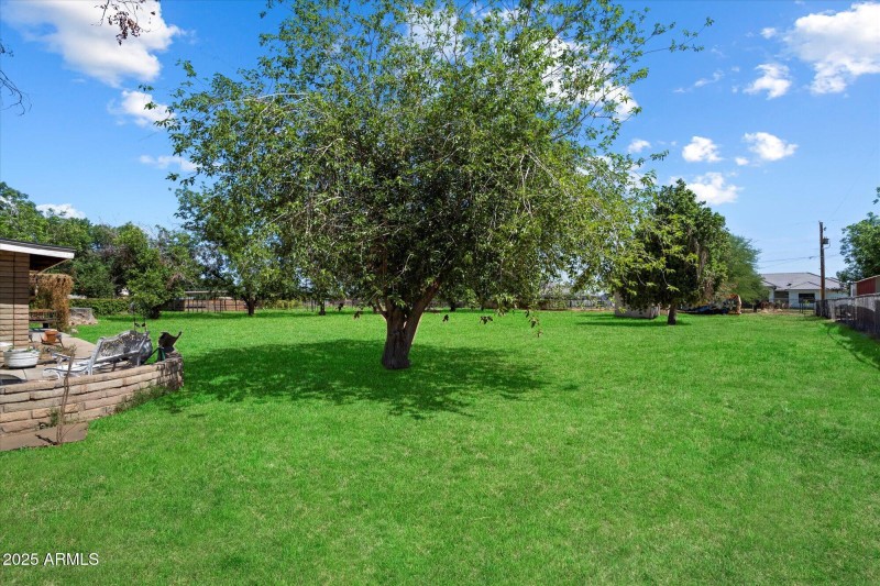 25-Backyard