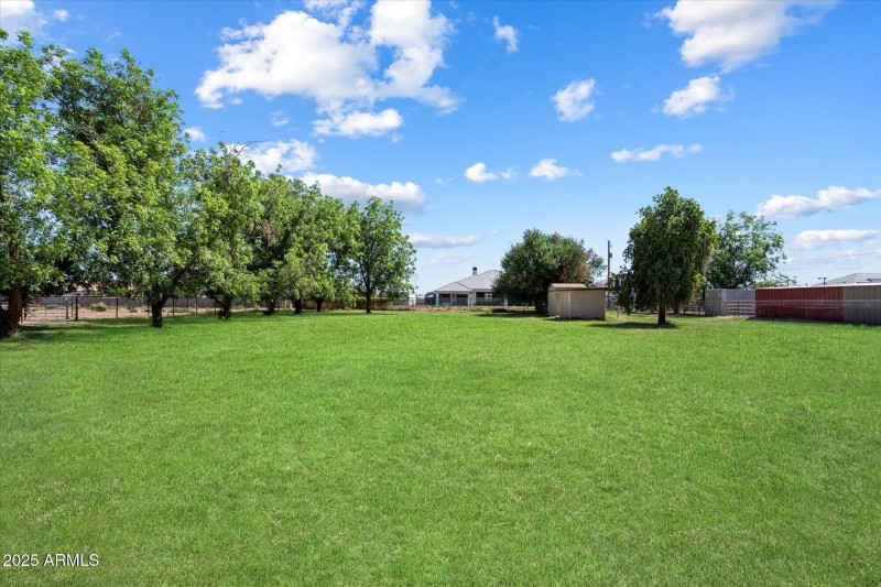 30-Backyard